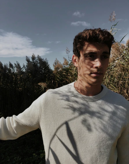 a man in a sweater is posing near some bushes