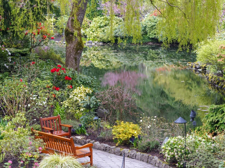 a bench on the side of a path near a pond