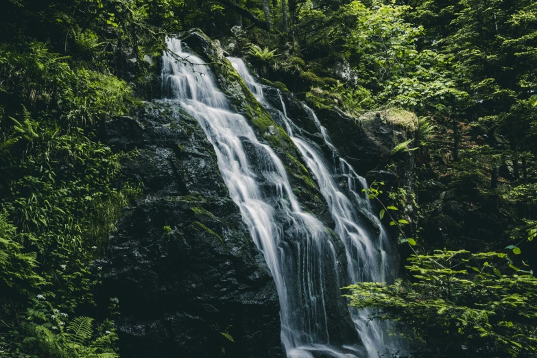 an image of waterfall and trees in the woods