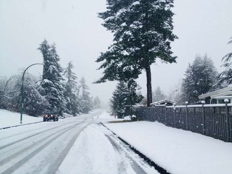 a road covered in snow near a tree lined street