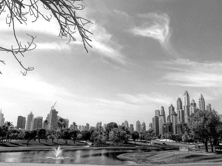 a city skyline as viewed from a lake on a sunny day