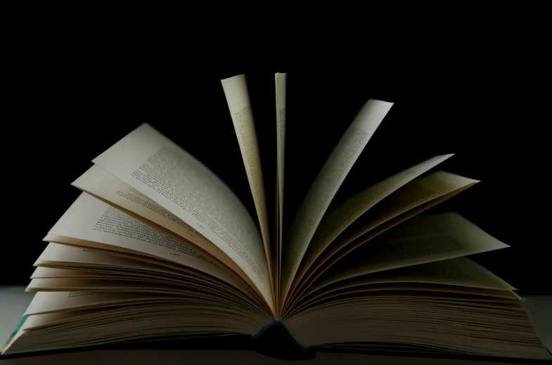 the open book is shown on a dark table