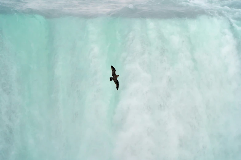 a bird flying above a large wave in a lagoon