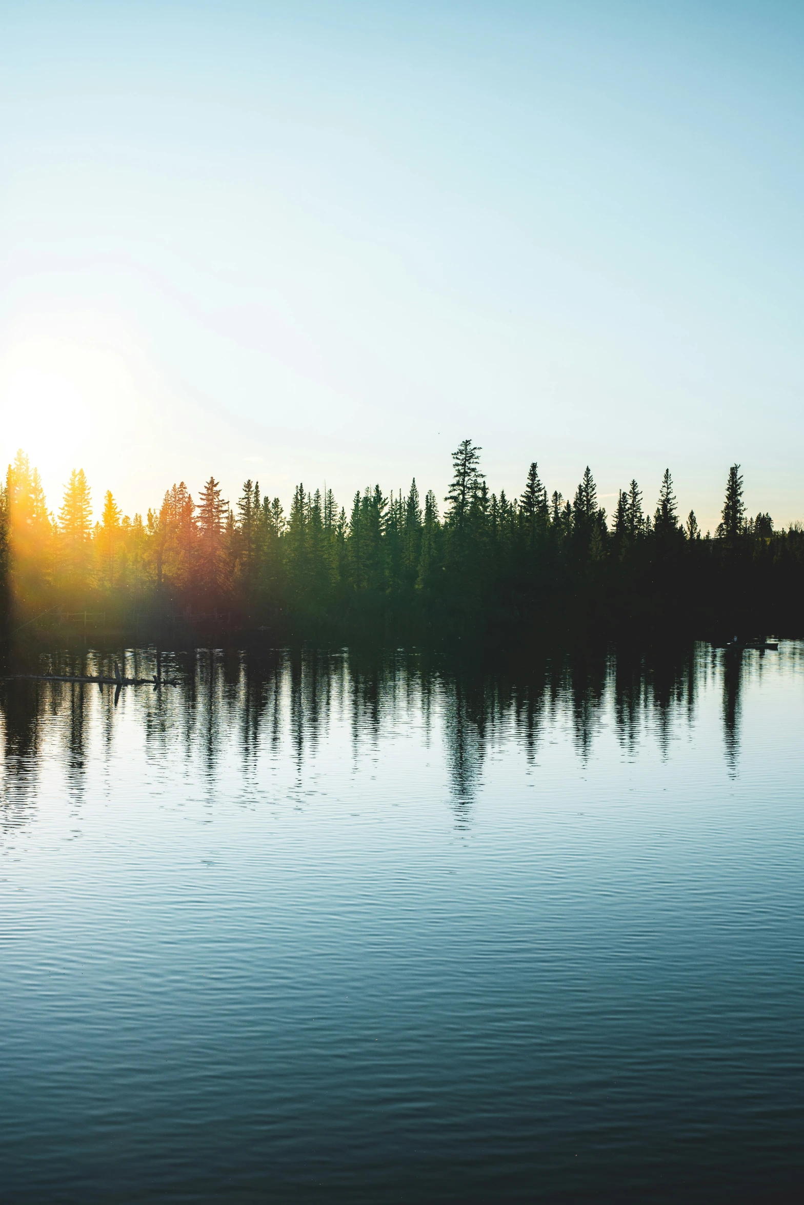 an image of the setting sun on the trees reflected in the water