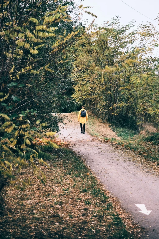 a person with a yellow jacket on is walking down the road