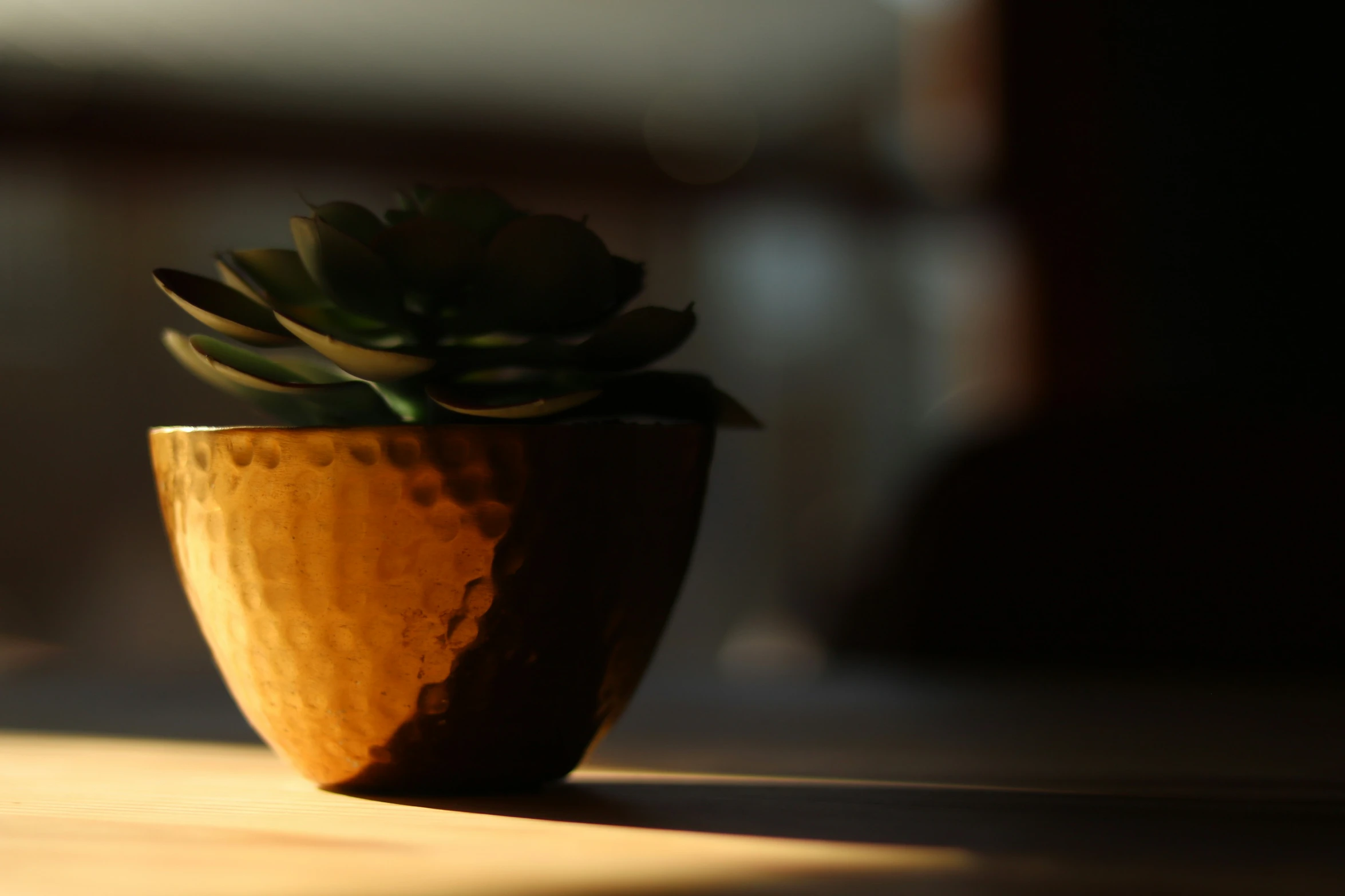 the green plant in the yellow pot is near some sunlight