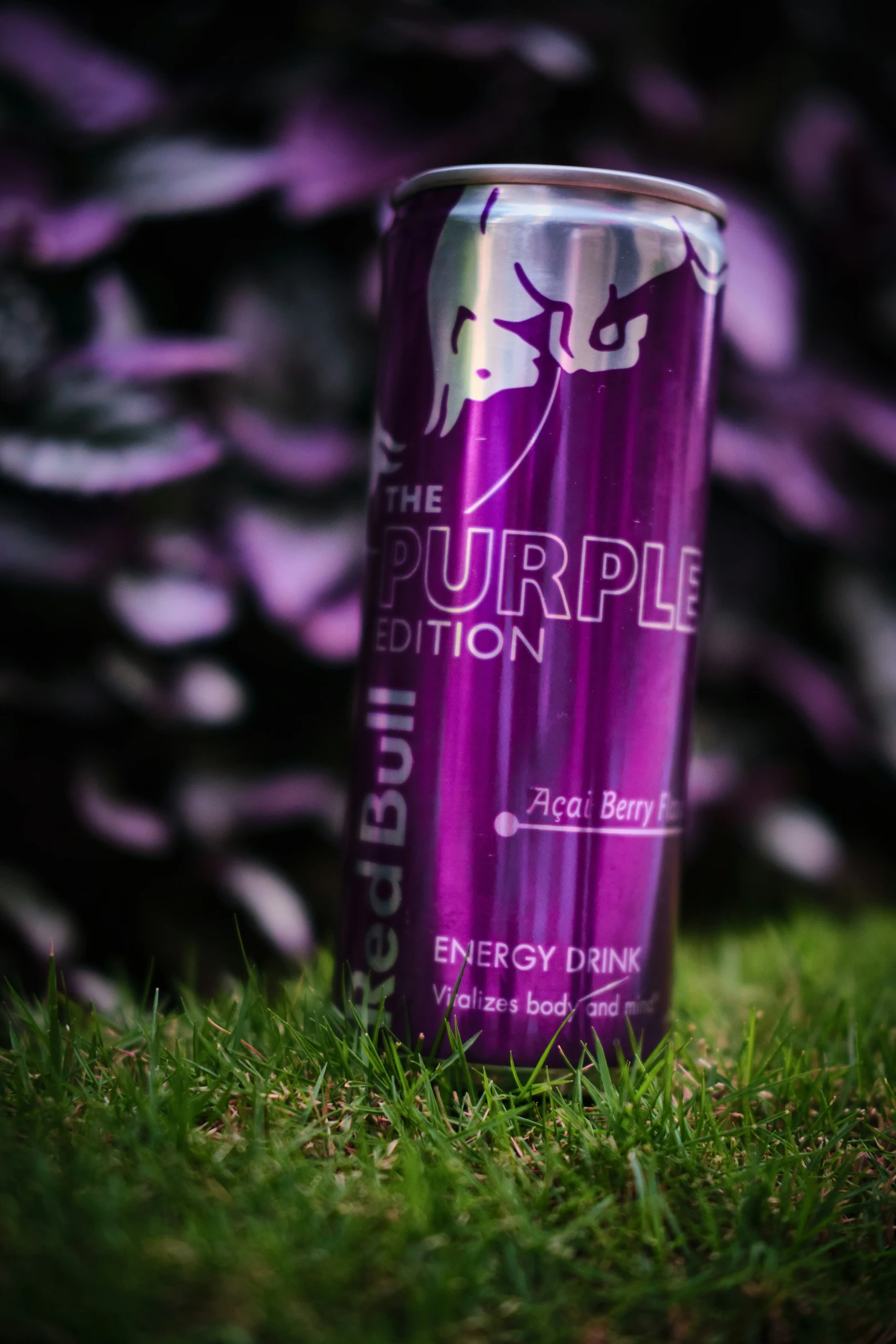 an empty purple beverage can sitting in the grass