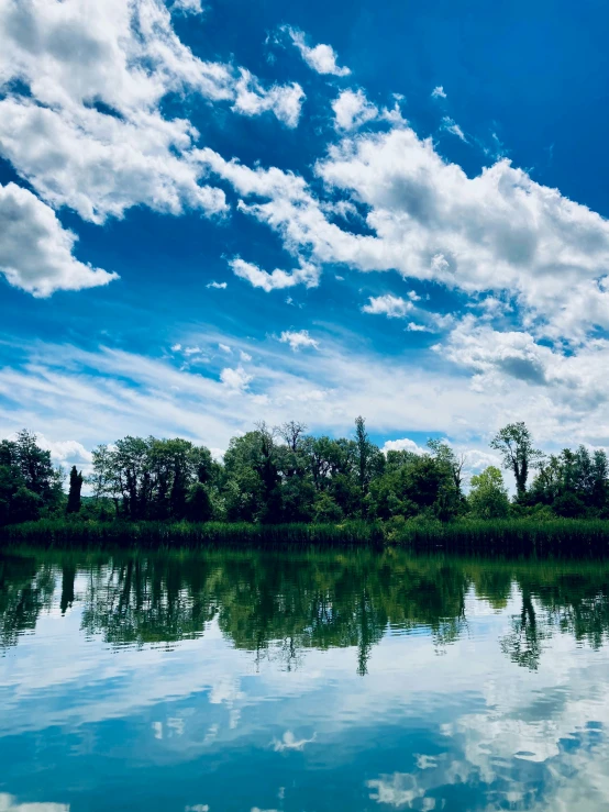 a pond is surrounded by wooded area and trees