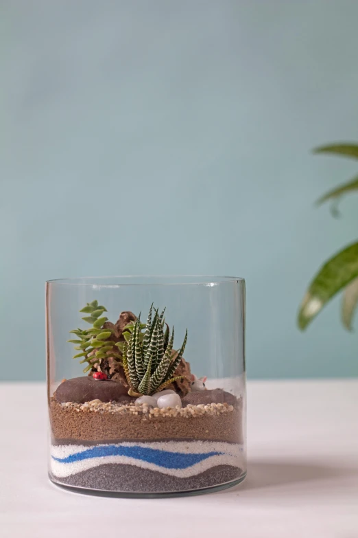 there are two small plants inside of the glass