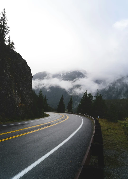 a foggy road near trees and a mountain