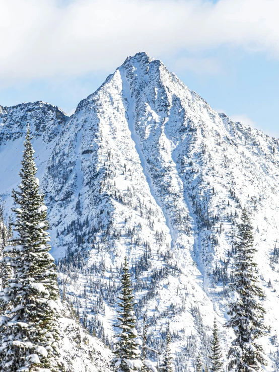 a mountain covered in snow and surrounded by trees