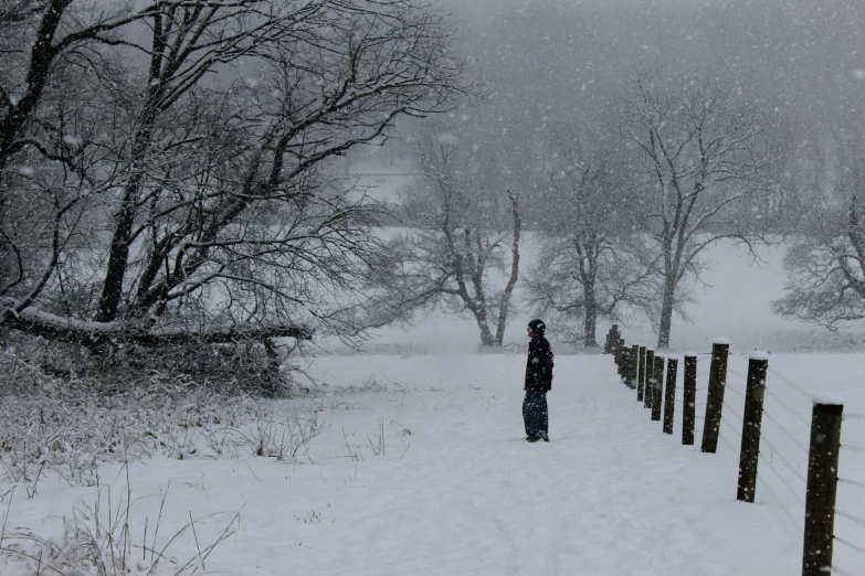 a person standing in a snowy field in front of a wooden fence