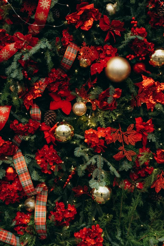 christmas tree covered with red and gold decorations