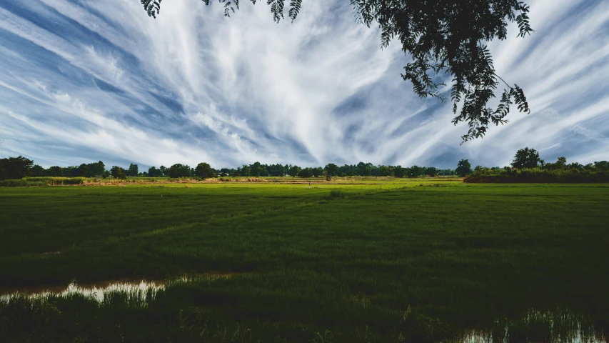 blue and white cloudy sky above an empty grass field