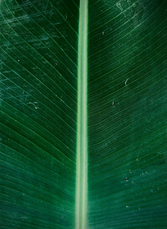 a close up view of an outside structure with no light