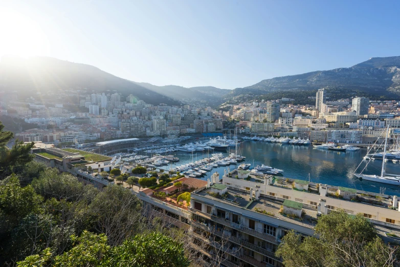 the harbor is full of docked boats and yachts