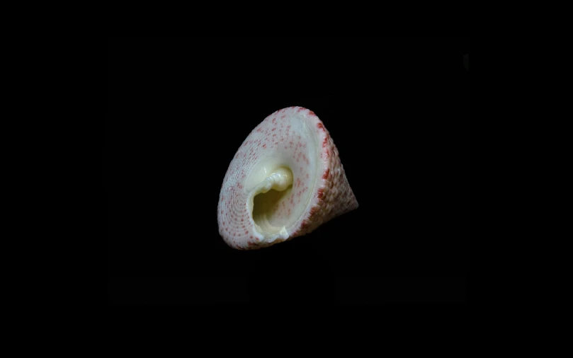 a rotten piece of food on a black background