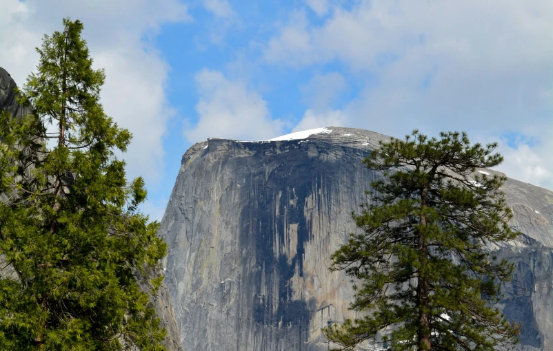 large mountain in distance surrounded by trees and snow