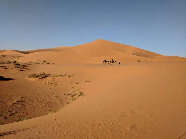 four people riding camels through the desert