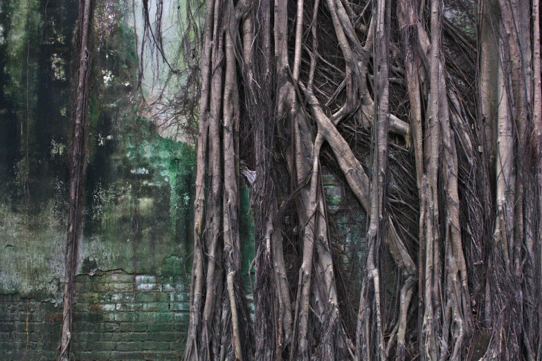 a group of trees and stairs surrounded by water