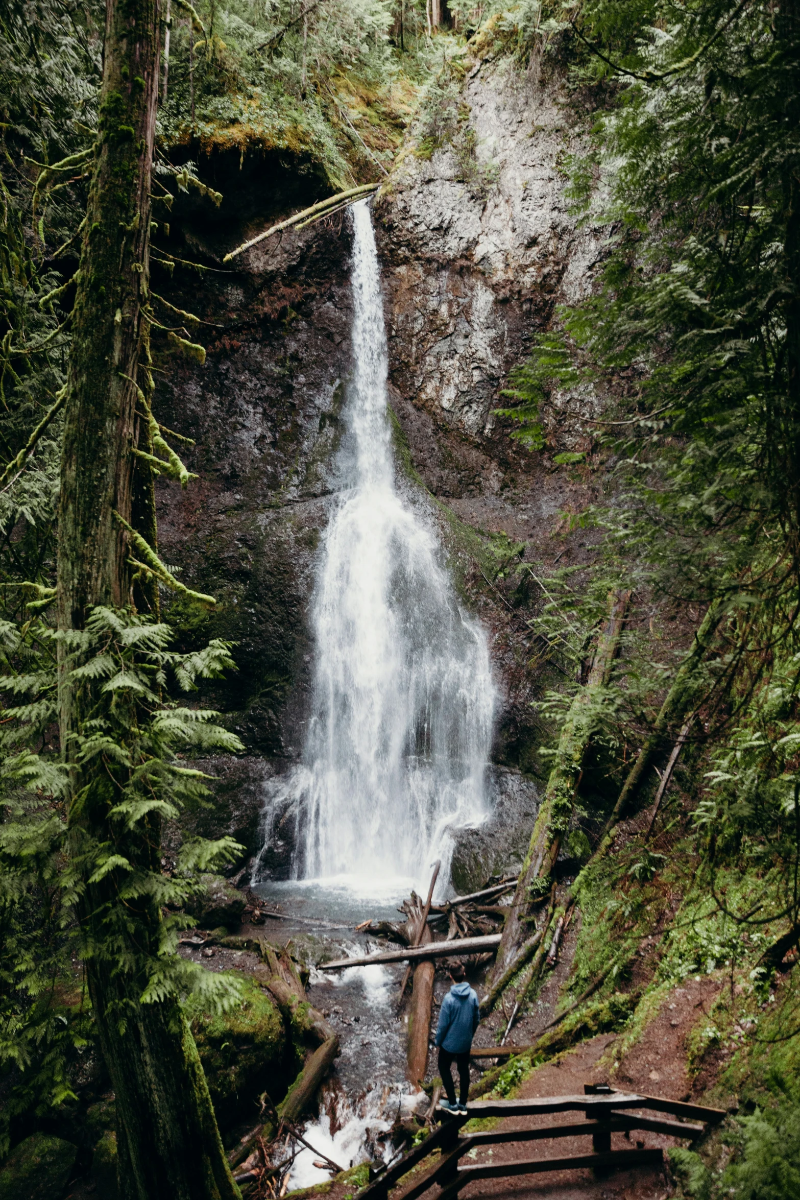 a man who is standing in front of a waterfall