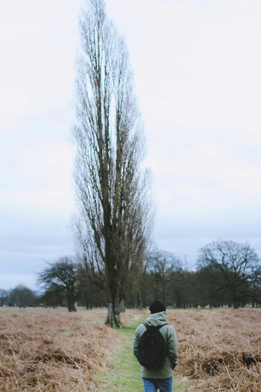 a man walking down a trail with trees in the background