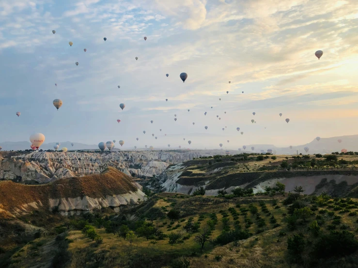 a bunch of balloons flying over a valley