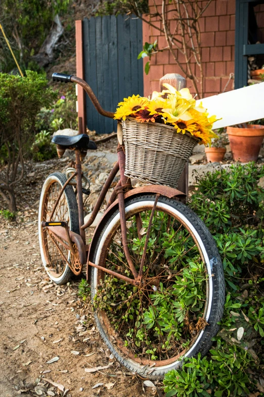 an old bicycle parked on a dirt road