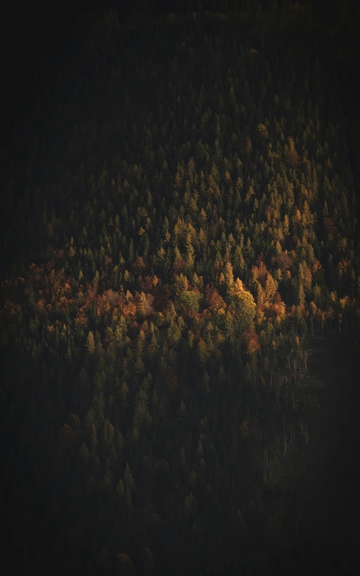 a small boat in a lake by some trees