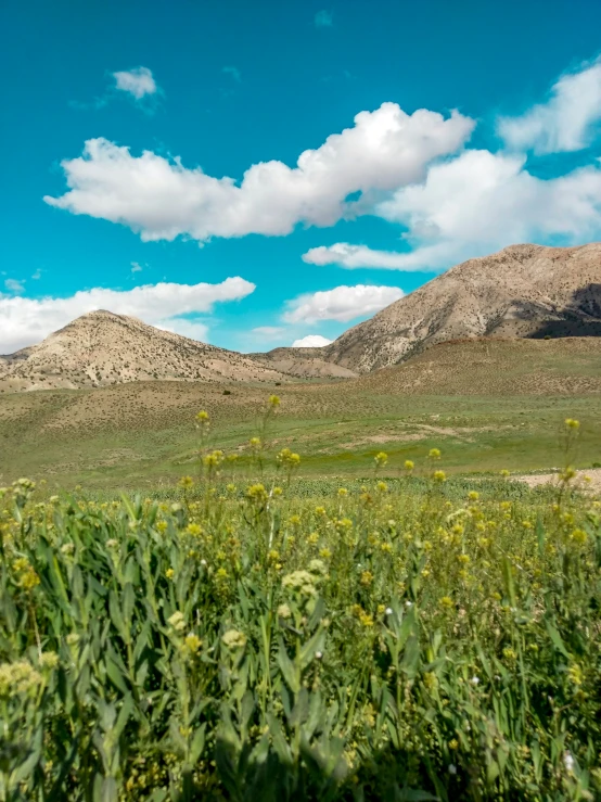 there is an open grass field in front of a mountains