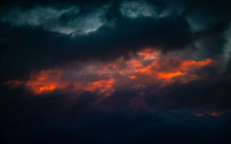 a bird flying beneath an orange sky