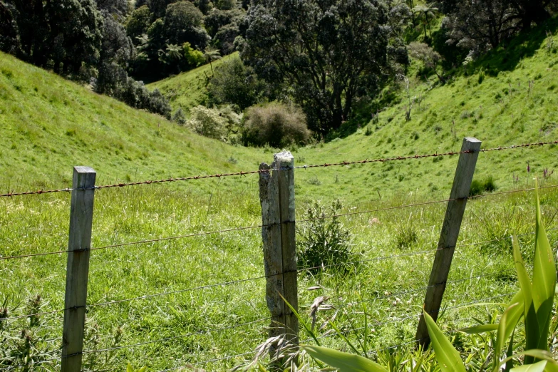 a wooden fence is in the middle of the green grass