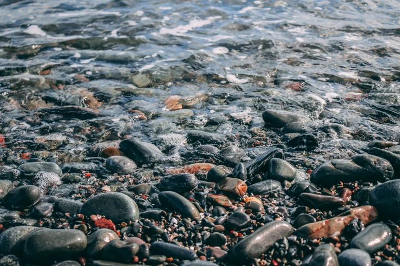 pebbles and seaweed on a rocky shoreline