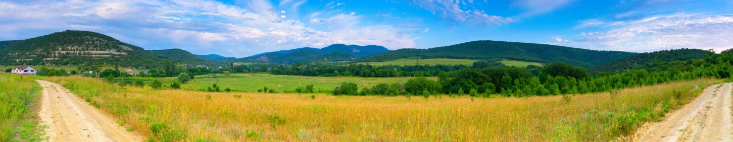 a grassy hillside is seen next to a dirt road
