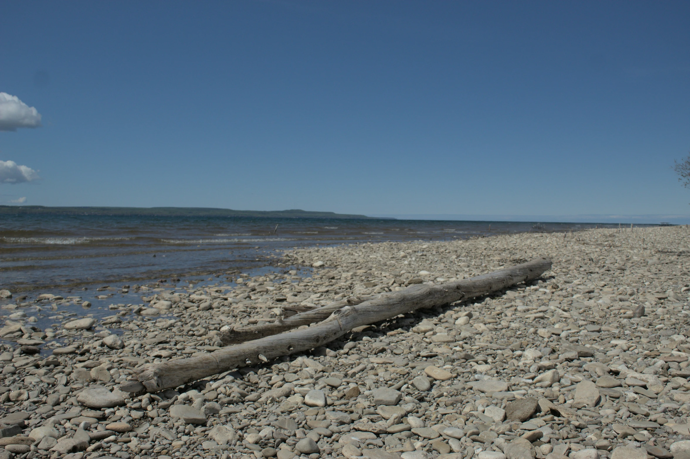 rocks, water, and wood near the shore line