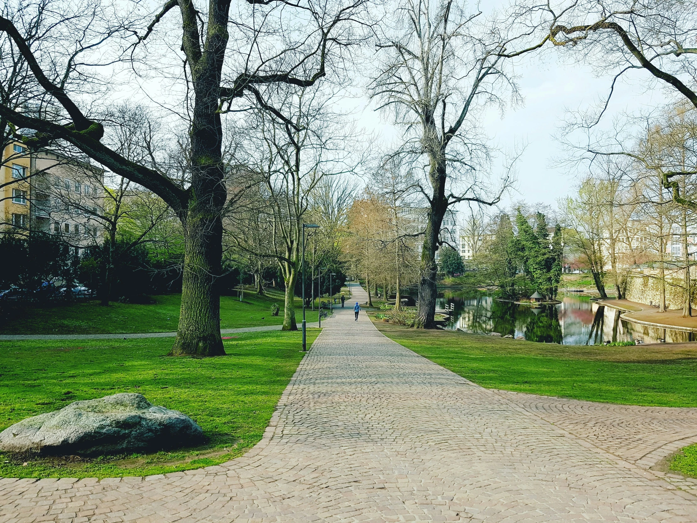 a dirt path in a park by trees and rocks