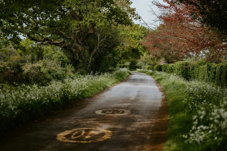 the back road that is marked in circle numbers is empty