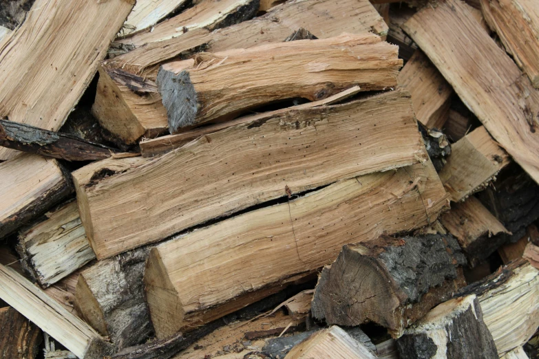 chopped logs of various sizes are stacked together