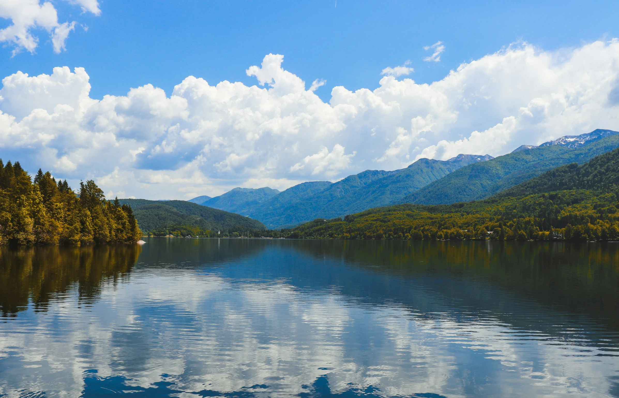 a scenic view of some trees and water