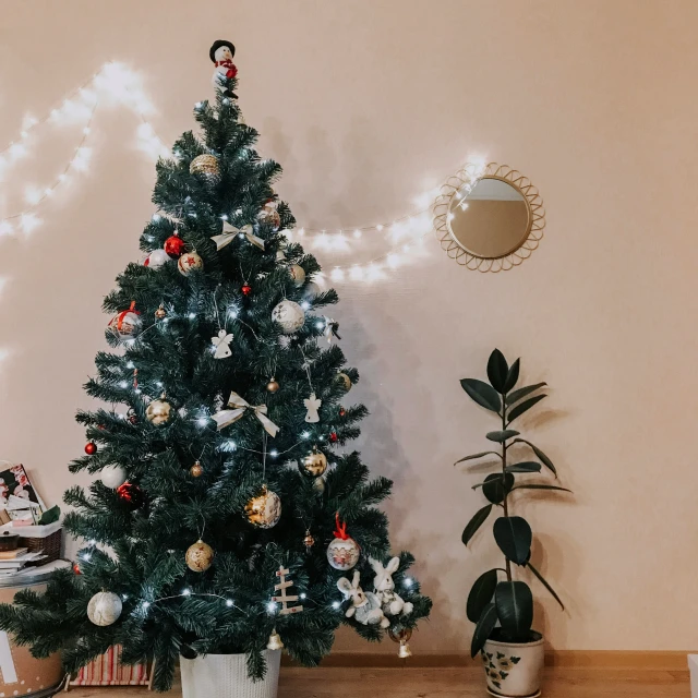 the christmas tree is next to two small plants