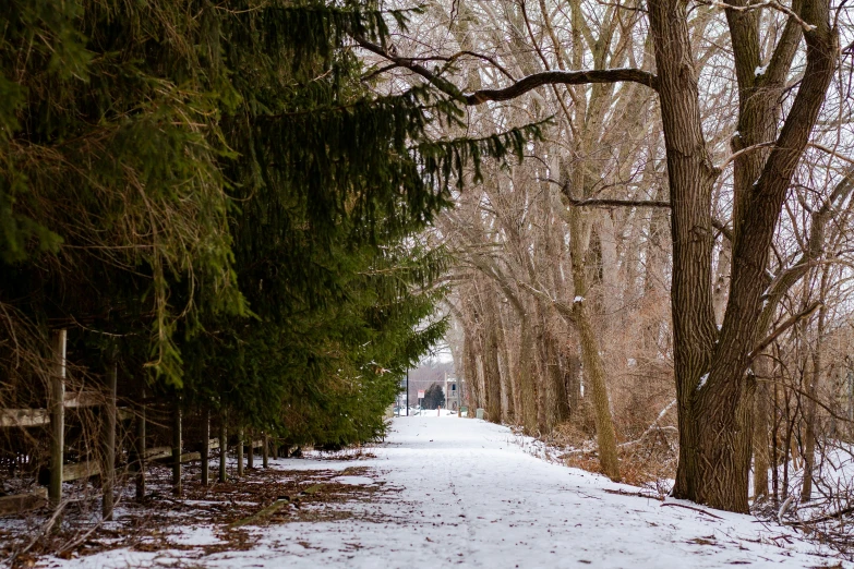 a view down a snow covered path that leads to several trees