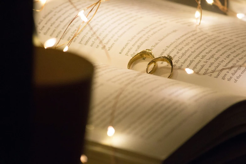 two gold wedding rings on the book for the bride and groom