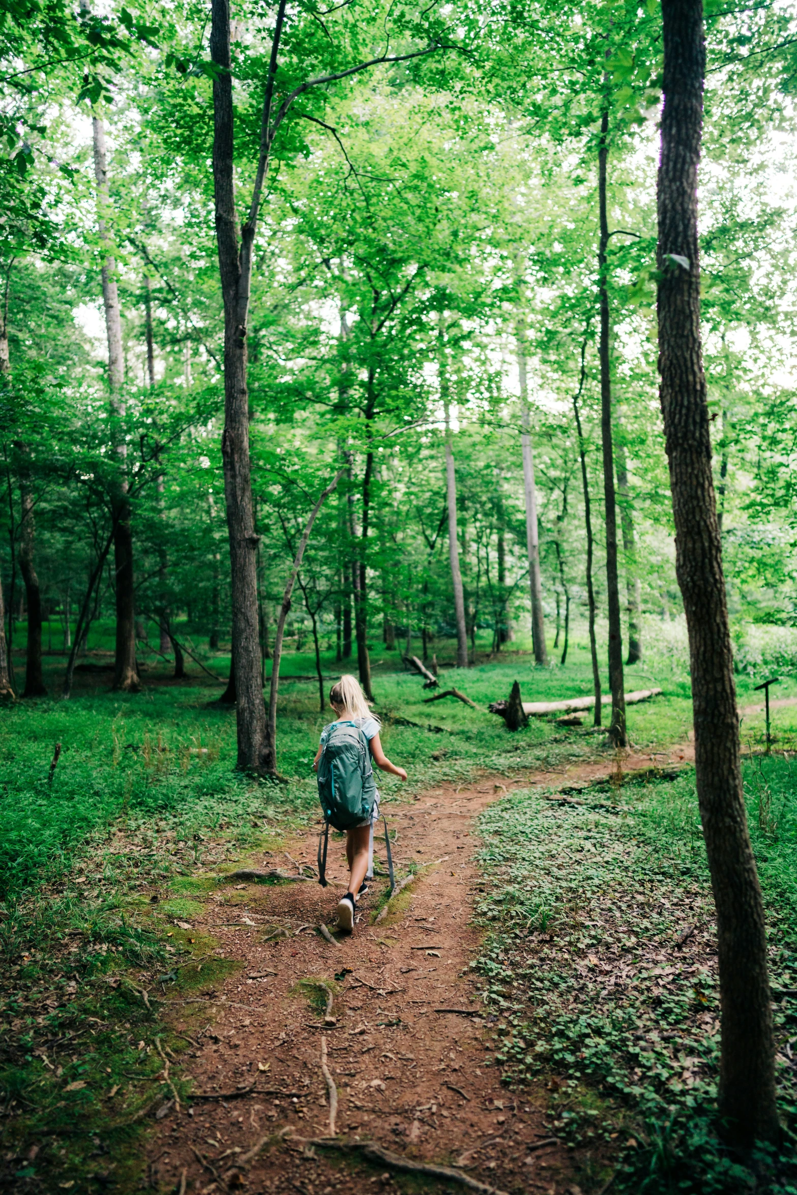 a person is walking through the forest on a path