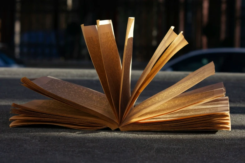 an open book on the ground with its pages turned upside down