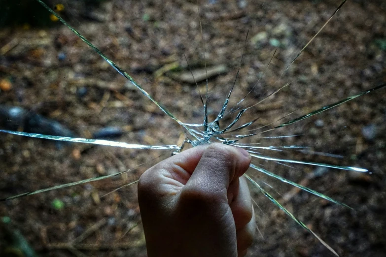 someone holding the shattered glass off their hand