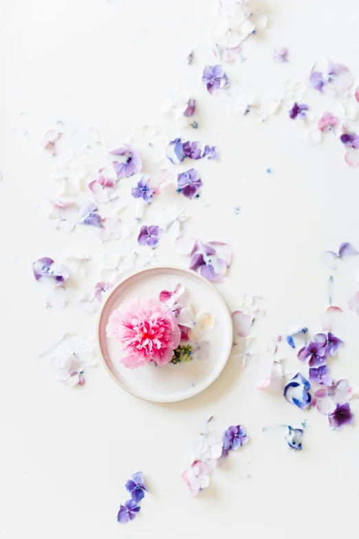 there are some pink and purple flowers on the plate