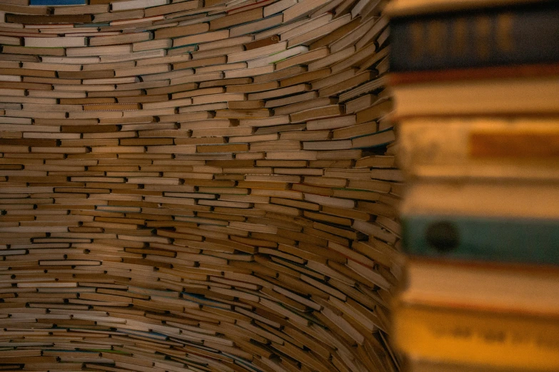 a long wall is covered in many books