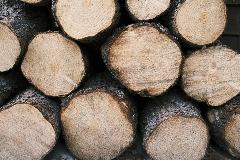 stack of trees are in a pile