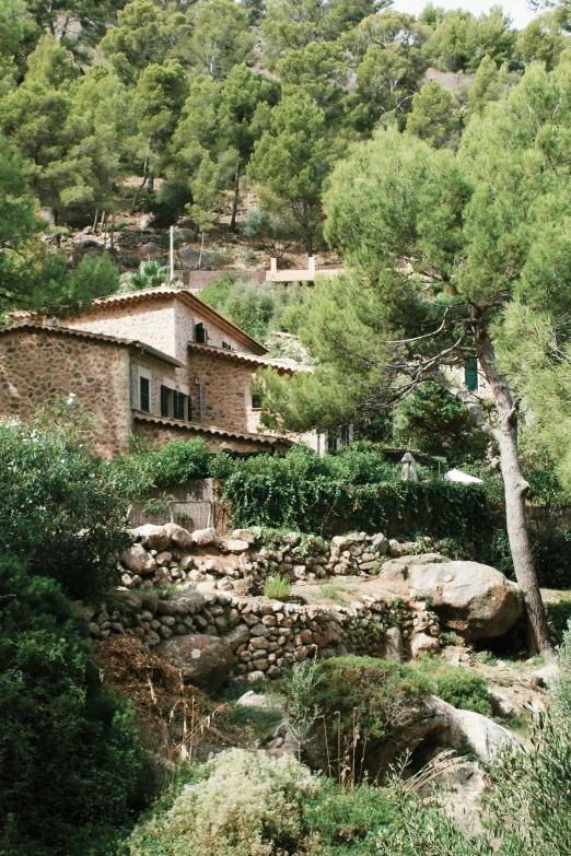 a house built on a slope covered with green trees