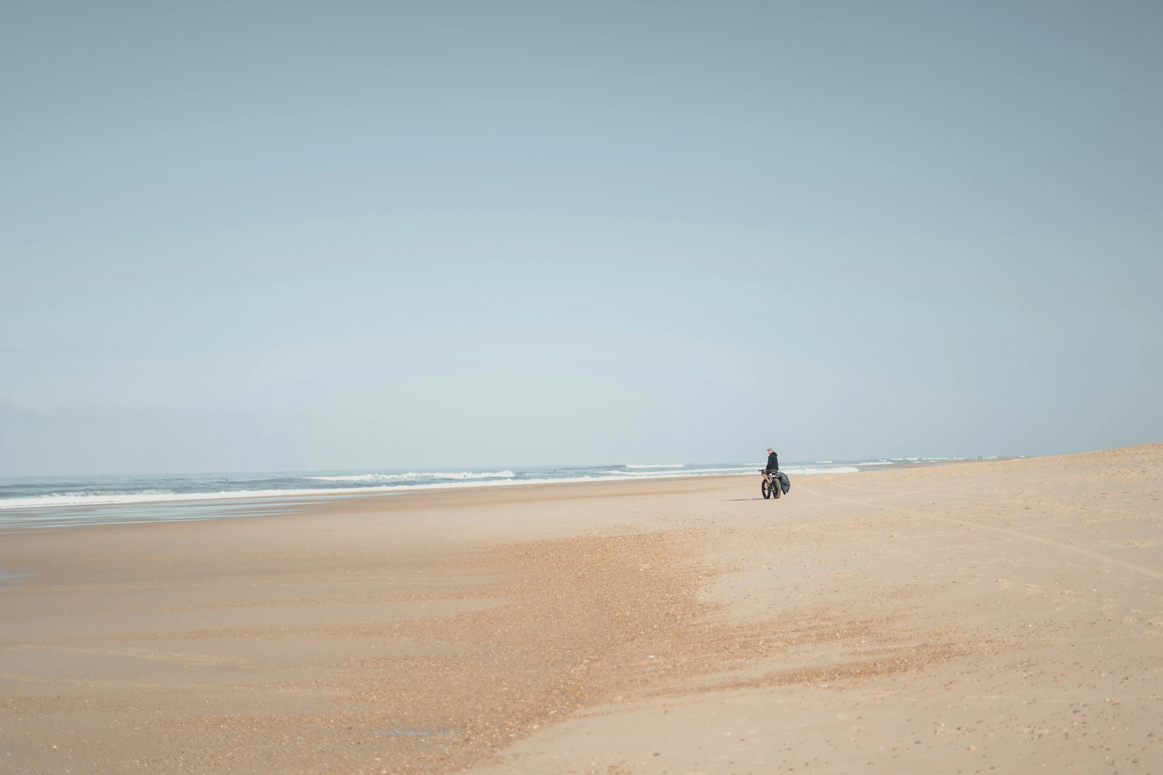 the person is walking on the beach with his dog